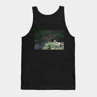 Tiger Cubs Tank Top